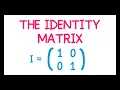 The Identity Matrix