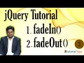 5 Jquery FadeIn FadeOut Effect Jquery Tutorial Jquery for begginners