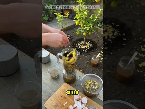 Me eliminaron un video con casi 2 MILLONES de vistas… y todavía no entiendo por qué 😳