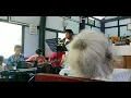 Gwgw Swlwngtai //Bodo gospel song//Mitisar Narzary