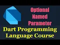 Dart Programming Language Optional Named Parameters in Functions -