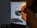 You Can Animate Brushes in Krita
