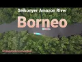 Download Lagu Seikonyer Amazon River 🚣 Borneo @orangutanhouseboattour6258