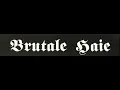 Download Lagu Brutale Haie - Oi! Ist Der Weg