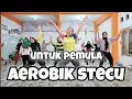 Download Lagu SENAM AEROBIK MUSIK TERBARU STECU STECU MP3