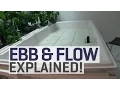 Ebb and Flow Hydroponics Explained