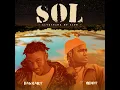 S.O.L (Remix) (Situation Of Life) (feat. Qdot)