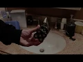 How to remove your Pitbull Shaver s Blades