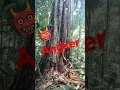 Download Lagu PENEBANGAN POHON ANGKER