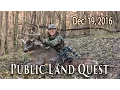 Public Land DIY Trophy - Buck Bedding Areas Midwest Whitetail