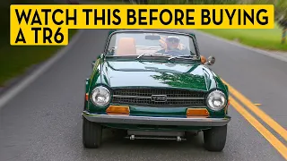 Triumph TR6 Which One is Right for You Buyer s Guide