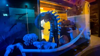 Solo Sailing to Nantucket