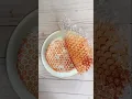 Spring bee craft for kids