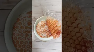 Spring bee craft for kids