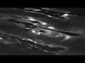 Gibran Alcocer - Idea 22 (slowed & reverb) (1 Hour Loop)