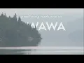 Practicing Medicine In Wawa 2022