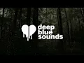 death cab for cutie - i will follow you into the dark (lyrics)
