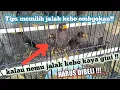 Download Lagu Cara memilih burung jalak kebo ombyokan,dijamin cepat gacor.!!!!