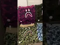 Bape Camo Shark Sweat Shorts Review Reps