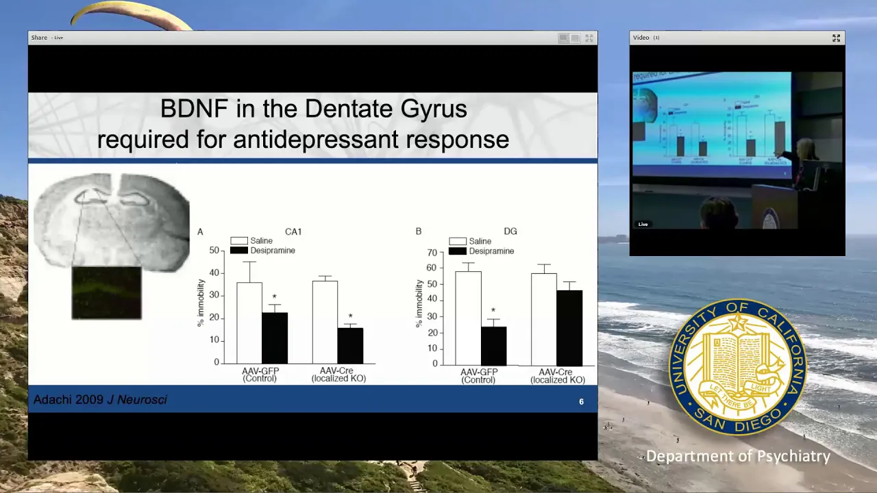 Grand Rounds Lisa Monteggia, PhD