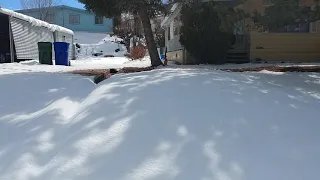 Dealing with Prescott AZ Snow
