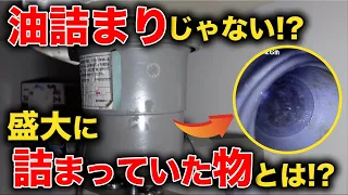 築２６年前業者が２社入ってお手上げ！！トータル１５万かかっても直せない詰まりとは？そして花は珍しくオコ！！【花のお掃除 #189】