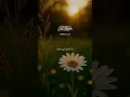 Download Lagu Surah Al-Anfal — Verse 21to25:       #quranrecitation #quran #shorts