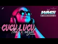 Lagu JOGET CUCU LUCU BY TEDY X RAZUL🍁🔥🌴🌴