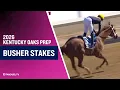 2026 200 000 Busher Stakes at Aqueduct