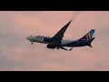 Avelo Airlines adds direct flights between Maine and Connecticut