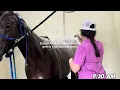 A Day In The Life Of Solo Select s Assistant Barn Manager