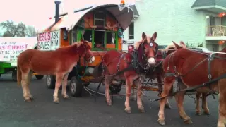 Jesus Saves Horse And Buggy