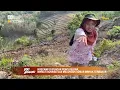 Download Lagu Ngecamp di Puncak Pencu Blora, Nikmati Sunrise dan Melongok Sumur Minyak Terbakar