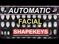 FREE-AUTOMATIC Facial MoCap Shapekeys Blender