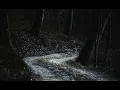 NBSPLV- the lost soul down (reverb + Slowed)