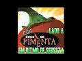 Download Lagu FORRO SUCO DE PIMENTA E ROBERIO LANCERDA DOS TECLADOS EM RITMO DE SERESTA VOL 2 LADO A