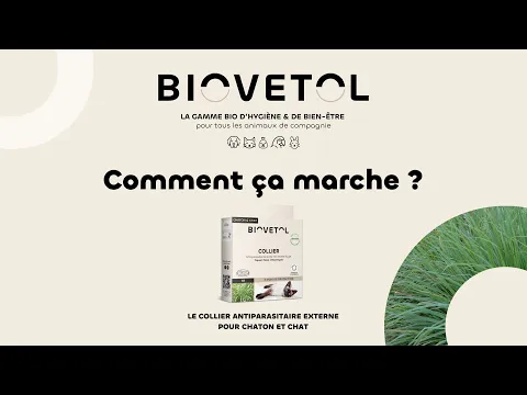 Conseils d'Expert #21 : Utilisation du Collier Antiparasitaire Chat et Chaton Biovetol par Rominette