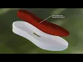 Sun Day Red by Tiger Woods Footwear Now Available at Roger Dunn Golf Hawaii
