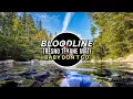 Download Lagu DJ BLOODLINE X TRESNO TEKANE MATI X BABY DON'T GO VIRAL TIKTOK FULL SONG - MAMAN FVNDY 2025