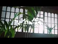 Hotkid - Nobody (Official Video)