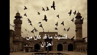 ولقد رأيتك فى منامى ليلة 