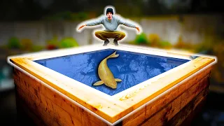 Our fish Grew TOO BIG for its home - Building a Bigger Koi Pond