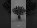 Download Lagu Keane - Somewhere Only We Know | And if you have a minute, why don't we go | Aesthetic #song #lyrics