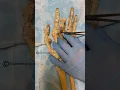 Download Lagu Finger Tendons