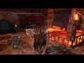 Dark Souls II Vanilla PVP Murakumo Hexer Build vs Dual Avelyn