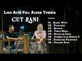 Download Lagu CUT RANI RUGOE WATE | THEUN RINDU FULL ALBUM LAGU ACEH TERBAIK