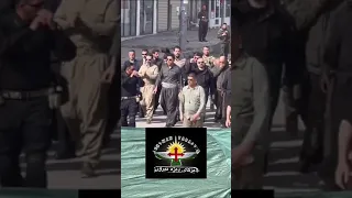 شێرەکانی یەکێتی نیشتیمانی کوردستان هەر هەبن 