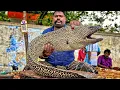 Lagu Unbelievable Giant Size Fish Cutting | Hidden Paradise Market Masterclass
