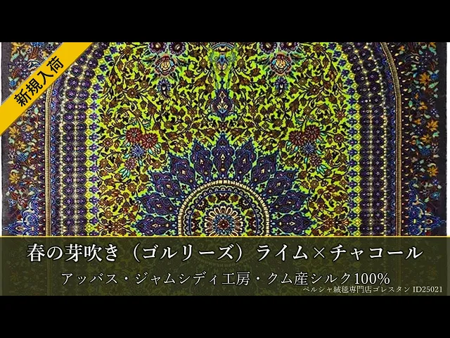 アッバス・ジャムシディ工房 春の芽吹き（ゴルリーズ）ライム×チャコール 62×92cm (ID25021)