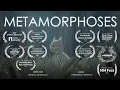 Download Lagu Metamorphoses— Award winning animation short film (2021)